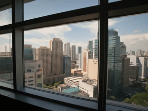 view-from-office-serviced-office-300x225.png